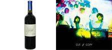 cutcopy